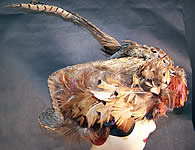 Edwardian Natural Straw Pheasant Feather Boater Hat